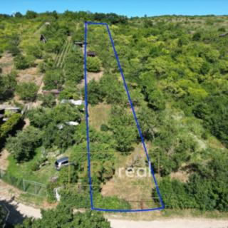 Prodej zahrady 1698 m² Pouzdřany