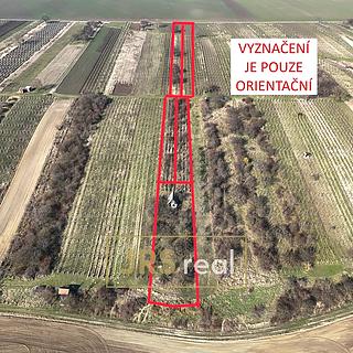 Prodej zemědělské půdy 4065 m&sup2; Brumovice