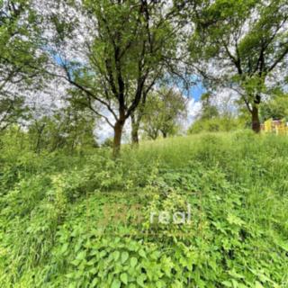 Prodej louky 1 260 m² Prakšice
