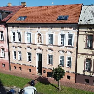 Pronájem bytu 1+1 56 m² České Budějovice, Puklicova