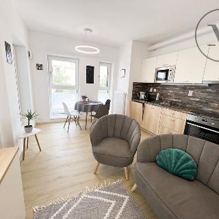 Pronájem bytu 2+kk 43 m² České Budějovice, Nádražní