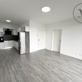 Pronájem bytu 2+kk 62 m² České Budějovice, Vrbenská