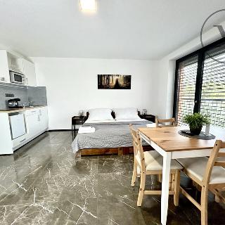 Pronájem bytu 1+kk, garsoniery 35 m² Jistebnice