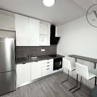 Pronájem bytu 1+kk a garsoniéry 40 m² České Budějovice, Vrbenská