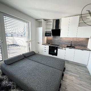 Pronájem bytu 1+kk a garsoniéry 45 m² České Budějovice, Vrbenská