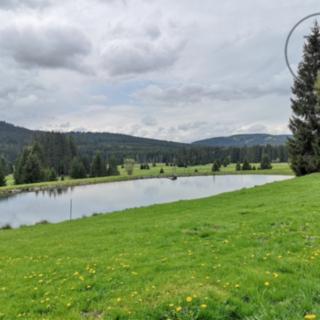 Prodej bytu 1+kk, garsoniery 17 m² Benešov nad Černou