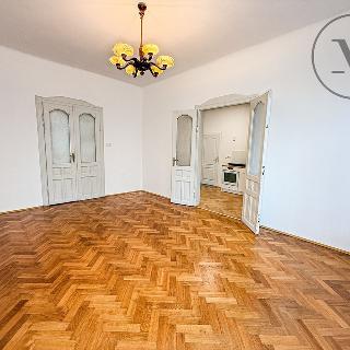 Pronájem bytu 1+1 45 m² České Budějovice, U Malše