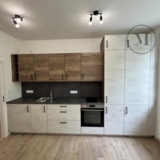 Pronájem bytu 1+kk a garsoniéry 20 m² Dívčice