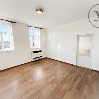 Pronájem bytu 1+1 46 m² České Budějovice, J. Plachty