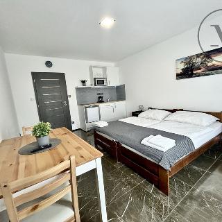 Pronájem bytu 1+kk a garsoniéry 25 m² Jistebnice, Sedlecká