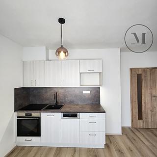 Pronájem bytu 1+kk, garsoniery 41 m&sup2; České Budějovice