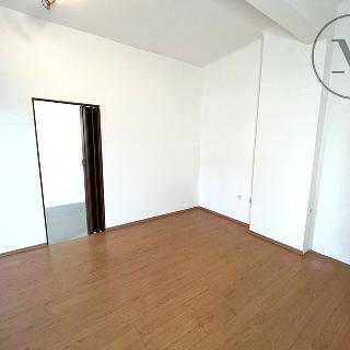 Pronájem bytu 1+1 38 m² České Budějovice