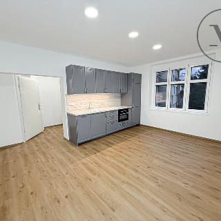 Pronájem bytu 1+kk a garsoniéry 34 m² České Budějovice, Dělnická