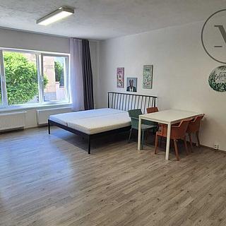 Pronájem bytu 1+kk, garsoniery 45 m&sup2; České Budějovice