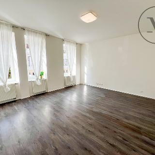 Pronájem bytu 1+1 56 m² České Budějovice, Puklicova