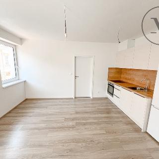 Pronájem bytu 2+kk 45 m² České Budějovice, Nová