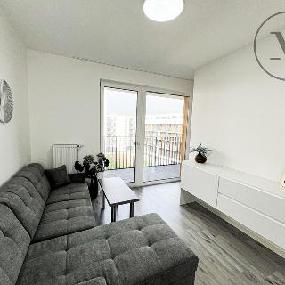 Pronájem bytu 1+kk a garsoniéry 40 m² České Budějovice, Vrbenská