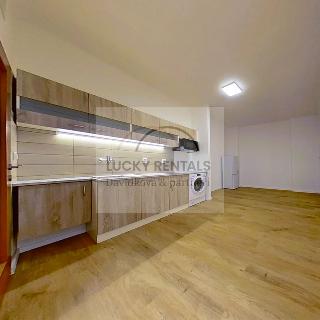 Pronájem bytu 1+kk a garsoniéry 25 m² Praha, Havelská