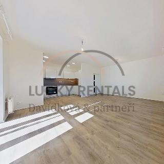 Pronájem bytu 3+kk 82 m² Praha, Pod Děvínem