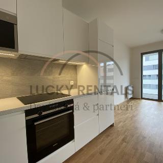 Pronájem bytu 2+kk 56 m² Praha, U Mlýnského kanálu