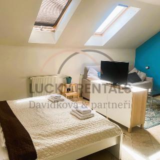 Pronájem bytu 1+kk a garsoniéry 38 m² Praha, Legerova