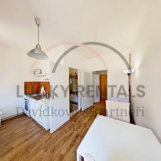 Pronájem bytu 1+1 38 m² Praha Karlín, Sokolovská