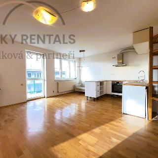 Pronájem bytu 3+kk 65 m² Šestajovice, Trojmezní