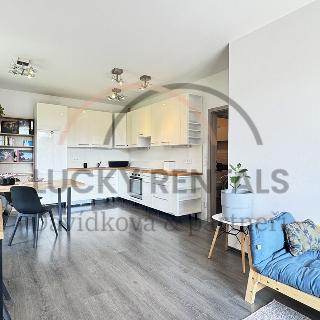 Pronájem bytu 2+kk 48 m² Roztoky, Lederova