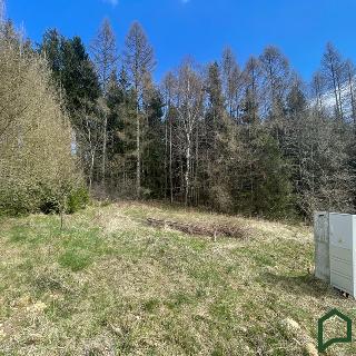 Prodej stavební parcely 1 753 m² Gruna, 