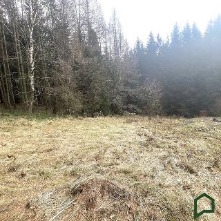 Prodej stavební parcely 1 753 m² Gruna, 