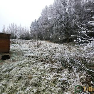 Prodej stavební parcely 1 753 m² Gruna, 