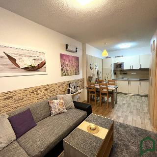 Prodej bytu 2+kk 41 m² Všemina, 