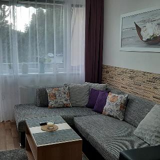 Prodej hotelu a penzionu 41 m² Všemina, 