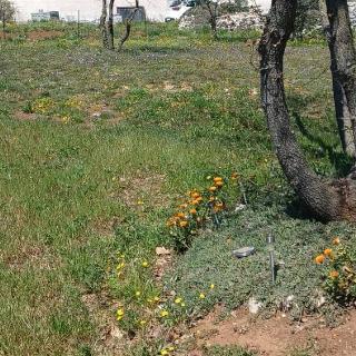 Prodej stavební parcely 1 970 m² v Chorvatsku