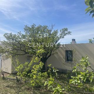 Prodej rodinného domu 1 778 m² v Chorvatsku