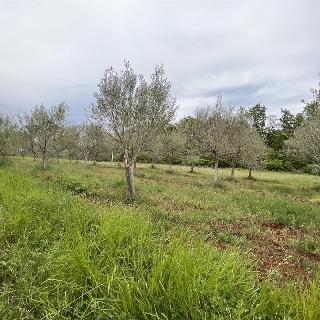 Prodej stavební parcely 860 m² v Chorvatsku