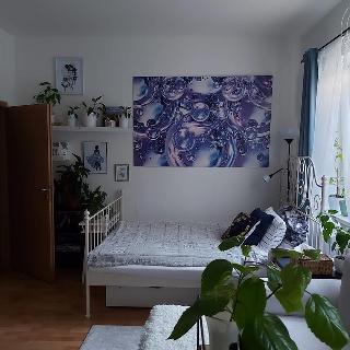 Pronájem bytu 1+kk a garsoniéry 27 m² Šestajovice, Komenského