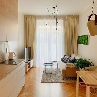 Pronájem bytu 2+kk 54 m² Praha, Grafická