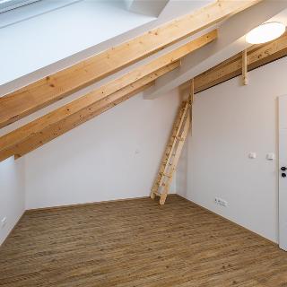 Pronájem bytu 5+1 a více 43 m² Praha, Šternberkova