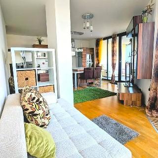 Pronájem bytu 2+kk 60 m² Praha, Pitterova