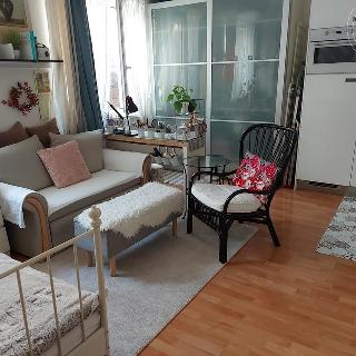 Pronájem bytu 1+kk a garsoniéry 27 m² Šestajovice, Komenského