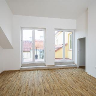 Pronájem bytu 2+kk 50 m² Praha, Šternberkova