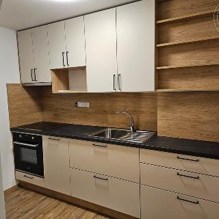 Pronájem bytu 2+1 54 m² Praha, Šternberkova