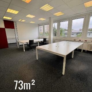 Pronájem kanceláře 73 m² Praha, V olšinách