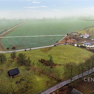 Prodej zemědělské půdy 9124 m&sup2; Litíč
