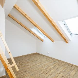 Pronájem bytu 2+1 49 m² Praha, Šternberkova