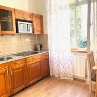 Pronájem bytu 1+1 44 m² Karlovy Vary, Tržiště