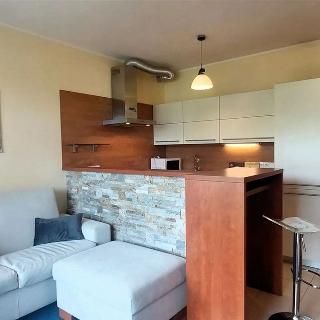 Pronájem bytu 3+kk 70 m² Benešov, U Koupadel