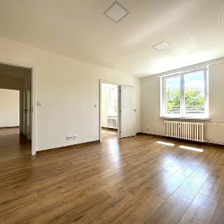 Prodej bytu 2+1 59 m² Hodonín, Lipová alej