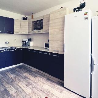 Prodej bytu 3+1 72 m² Průhonice